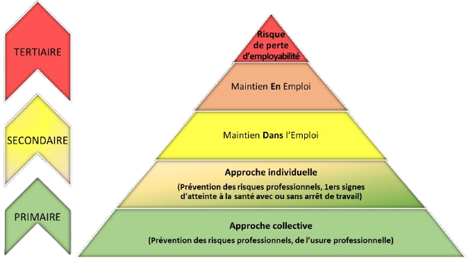 pyramide pdp removebg preview