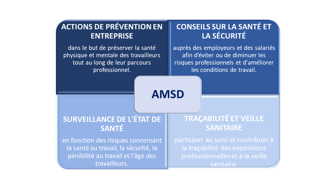 Formulaire Type Entreprise Individuel Action Metropole 2022